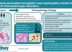 Hemolysis-associated hemoglobin cast nephropathy results