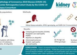 abstract for A multi-center retrospective cohort study defines the spectrum of kidney pathology in Coronavirus 2019 Disease (COVID-19) publication