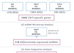 Gene expression microarrays of 37 formalin-fixed paraffin-embedded (FFPE) kidney biopsies