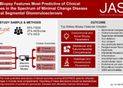 Kidney Biopsy Features Most Predictive of Clinical Outcomes