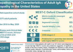 Clinicopathological Characteristics of Adult IgA Nephropathy in the United States