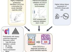 Identification and validation of urinary CXCL9