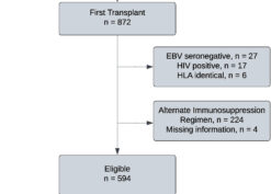 Belatacept with time-limited tacrolimus coimmunosuppression