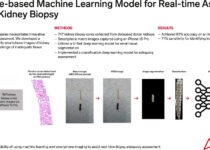 smartphone assessment of medical kidney biopsy